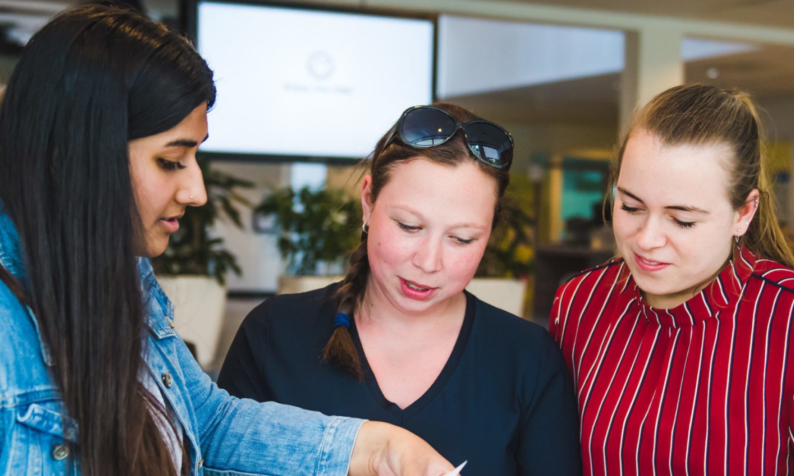 VAVO | Haal je VMBO, HAVO of VWO diploma in Zuid-Limburg | VISTA