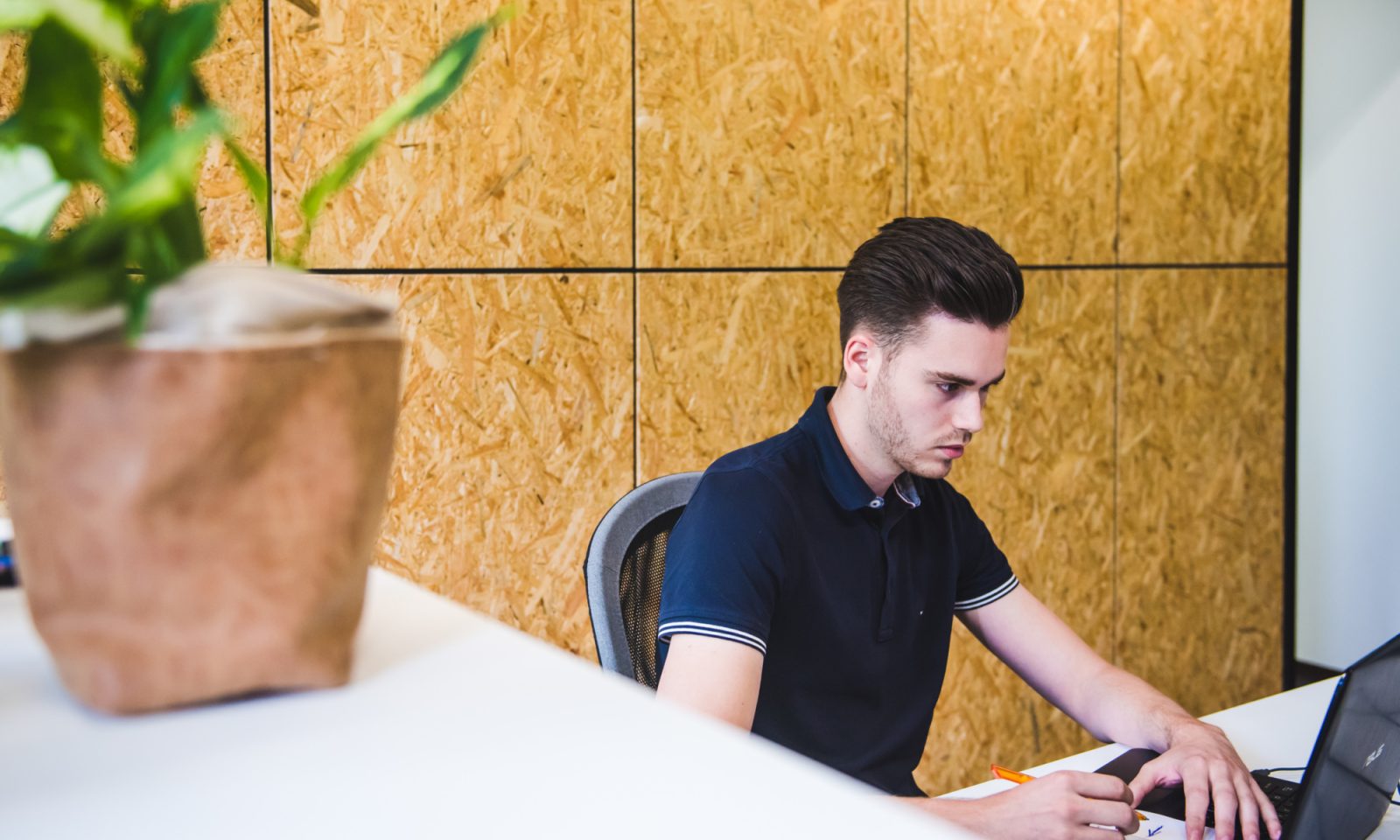 Business administration & control specialist - Opleiding - VISTA college